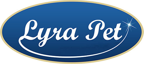 Lyra Pet® 2 x 4 Stück Riesenzapfen Vogelfutter Wildvögel Zapfen wie Meisenknödel