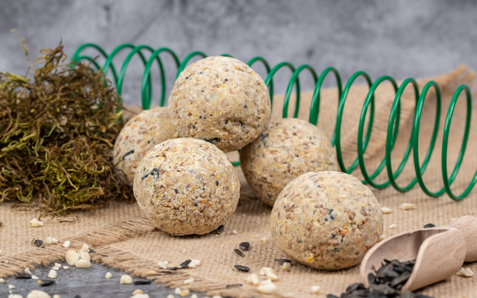 Meisenknödel sind im Winter zu hart ?
