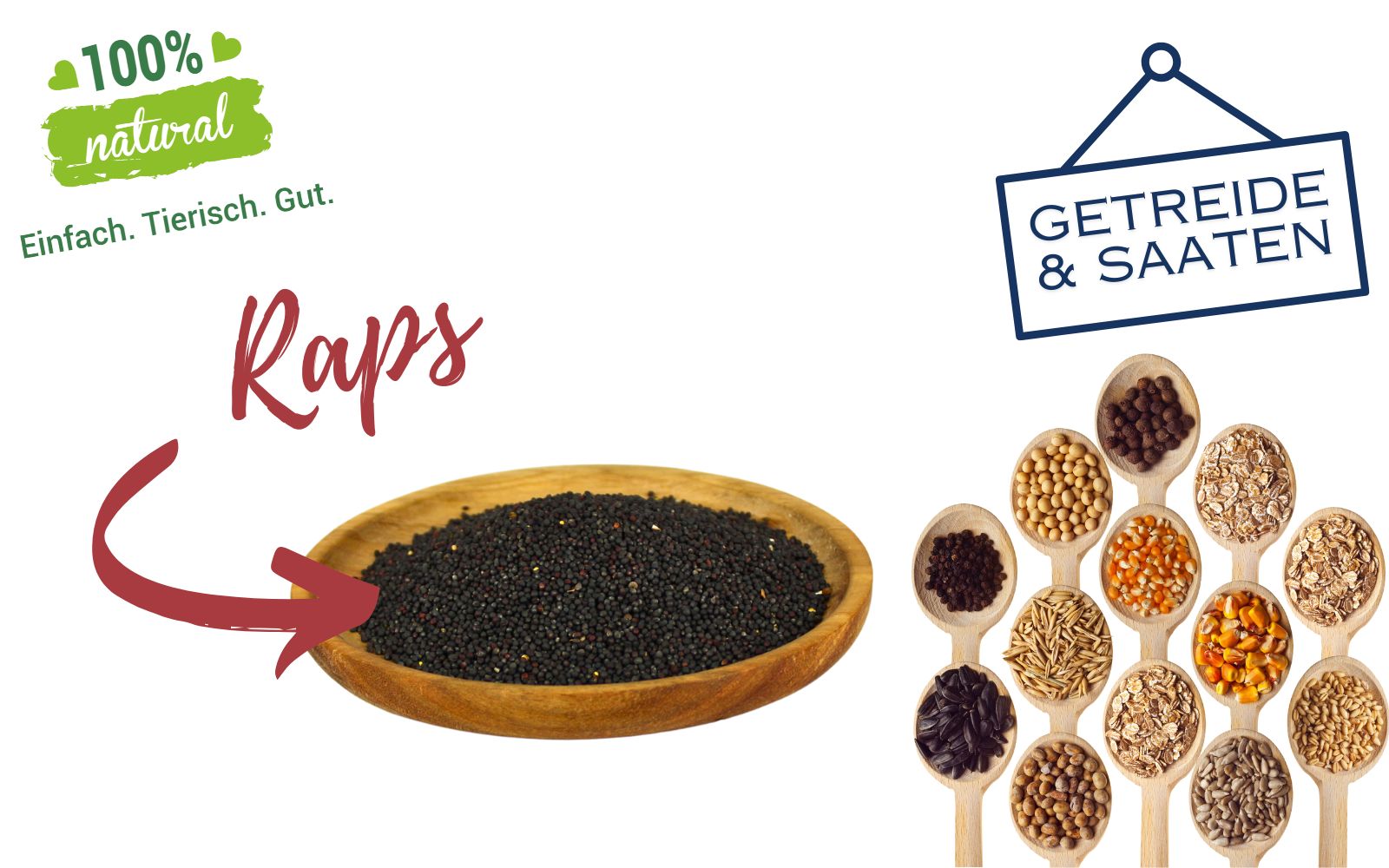 Lyra Pet Raps : Complément alimentaire naturel optimal pour oiseaux