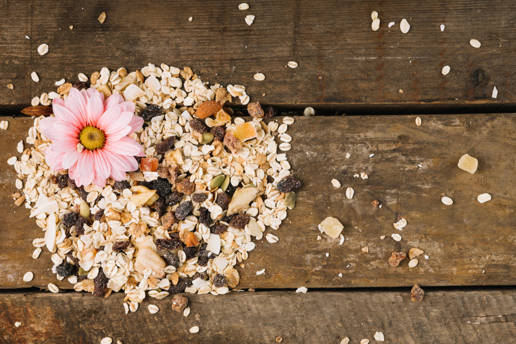 Welches Futter für Wildvögel ist Ambrosia frei ?
