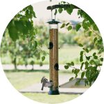 Aliments à disperser &amp; Aliments gras