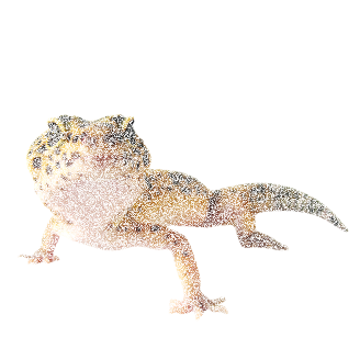 Reptilien