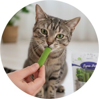 Snacks pour chats