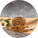 Nourriture pour reptiles