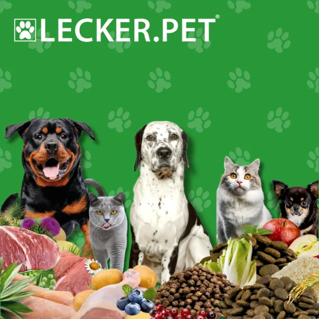 Bienvenue chez Lecker.Pet - Aliments premium pour chiens et chats - Lecker.Pet - Aliments premium pour chiens et chats | Aliments naturels pour animaux de compagnie de qualité supérieure