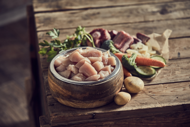 Schonkost für Hunde – Rezepte für schnelle Hilfe - Schonkost für Hunde: Rezepte bei Erbrechen, Durchfall &amp; Co.