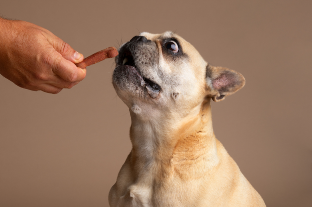 Wie oft darf mein Hund Kauartikel bekommen? - Wie oft darf mein Hund Kauartikel bekommen?