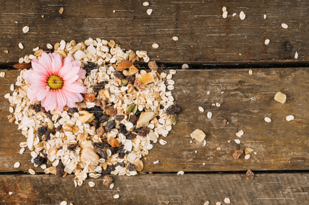 Welches Futter für Wildvögel ist Ambrosia frei ? - Welches Futter für Wildvögel ist Ambrosia frei ?