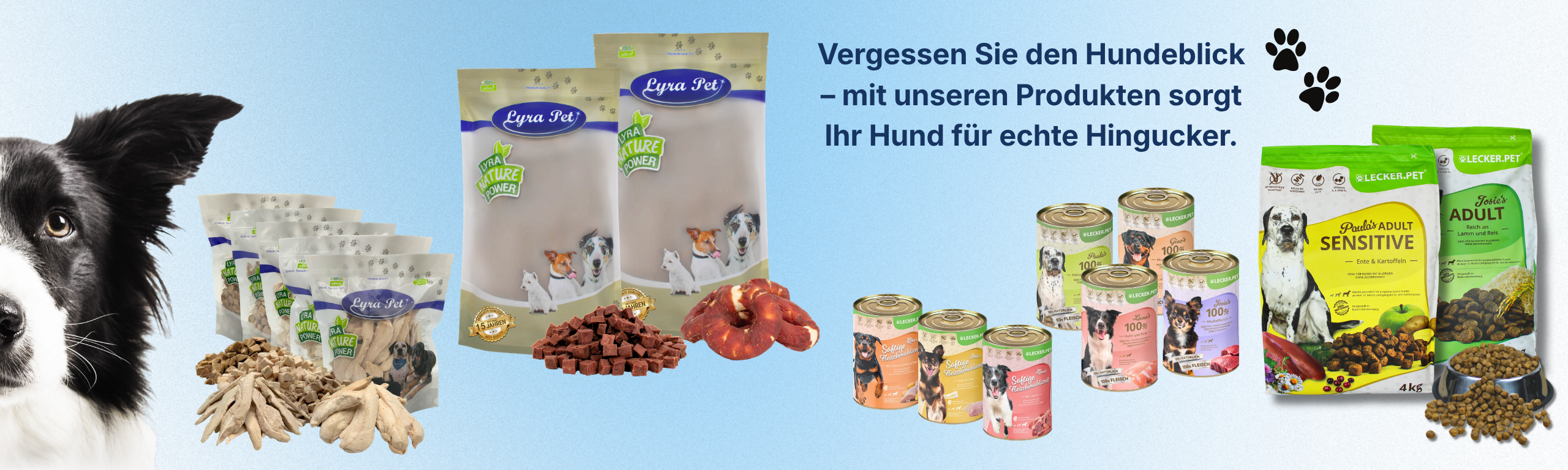Hund