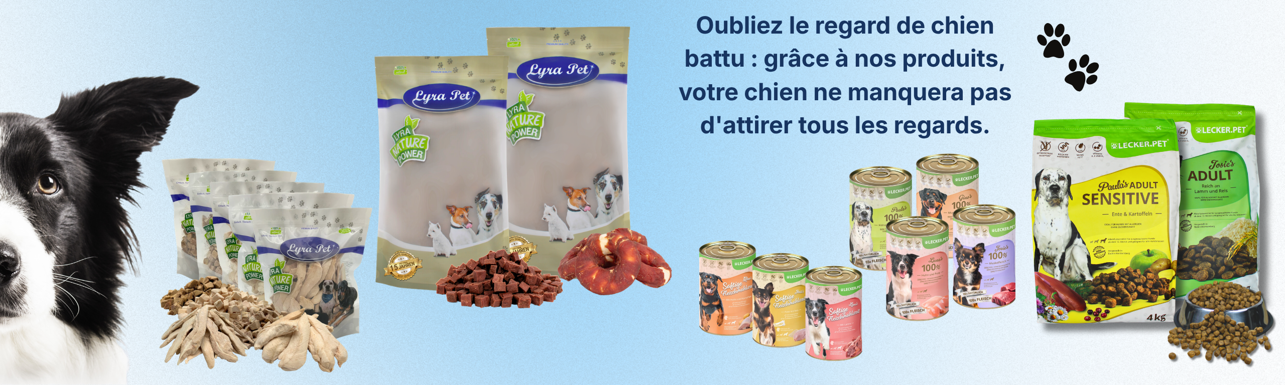 Chien