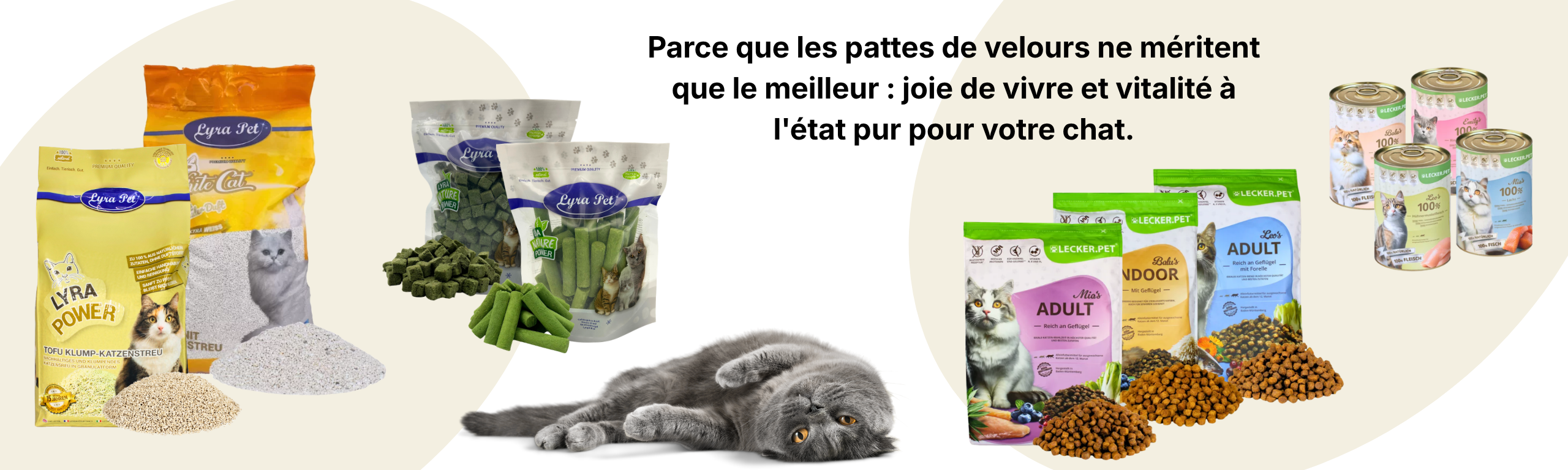 Chat
