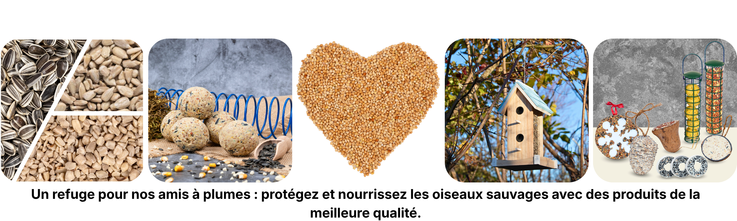 Oiseau