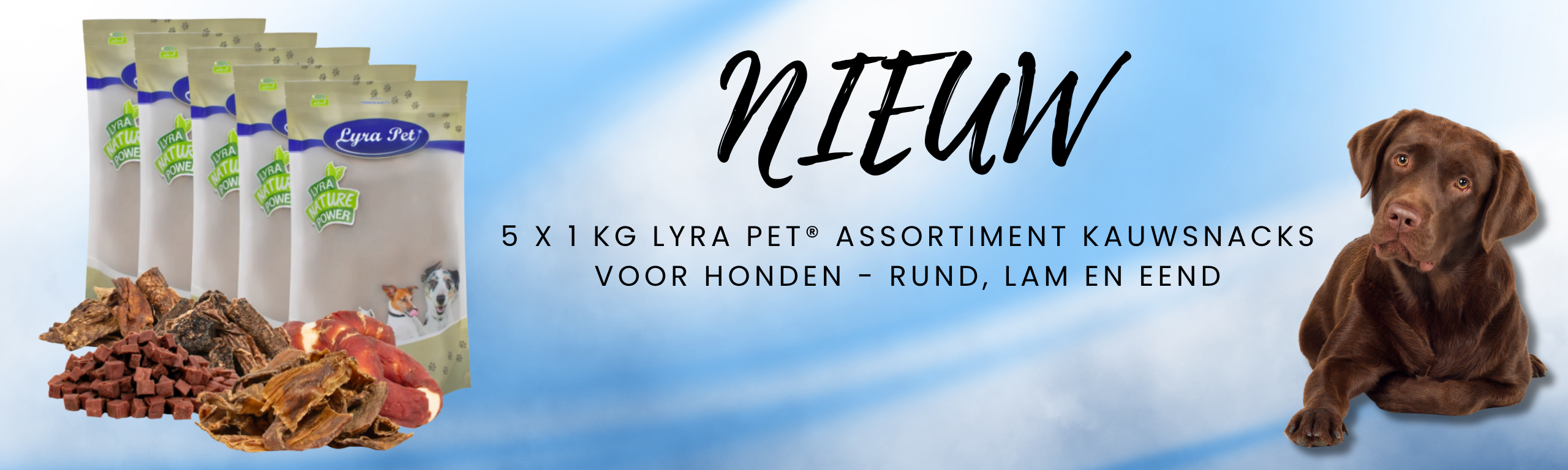 Hond
