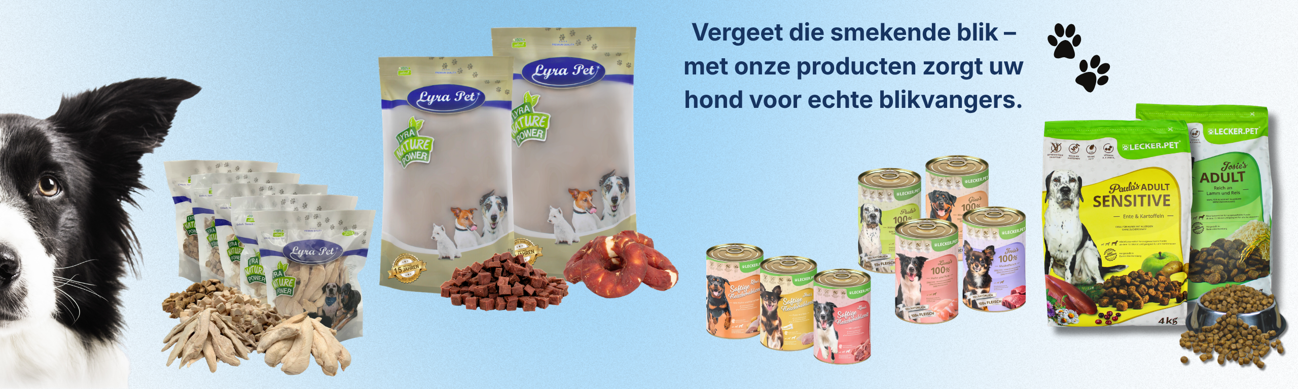 Hond