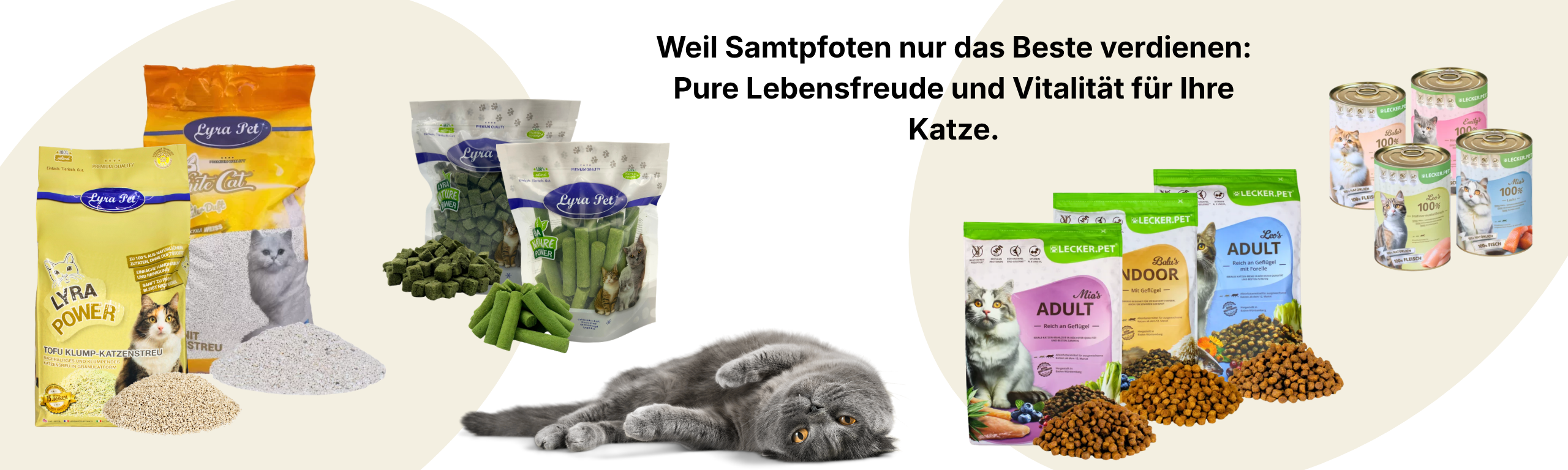 Katze