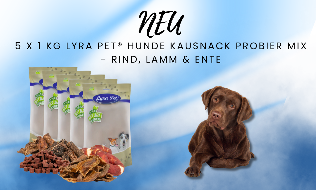 5 x 1 kg Lyra Pet® Hunde Kausnack Probier Mix - Rind, Lamm & Ente