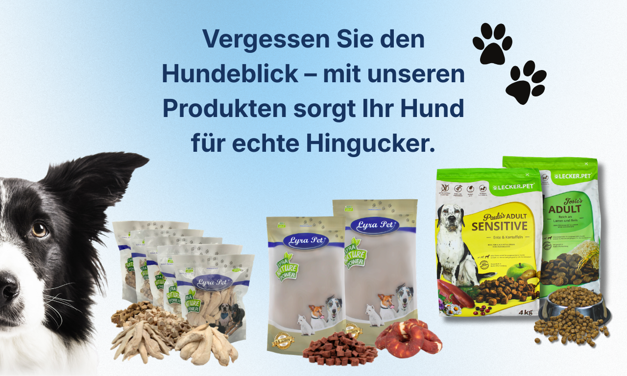 Hund