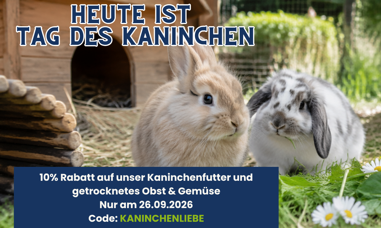 Tag des Kaninchen