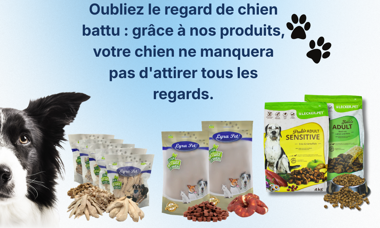 Chien