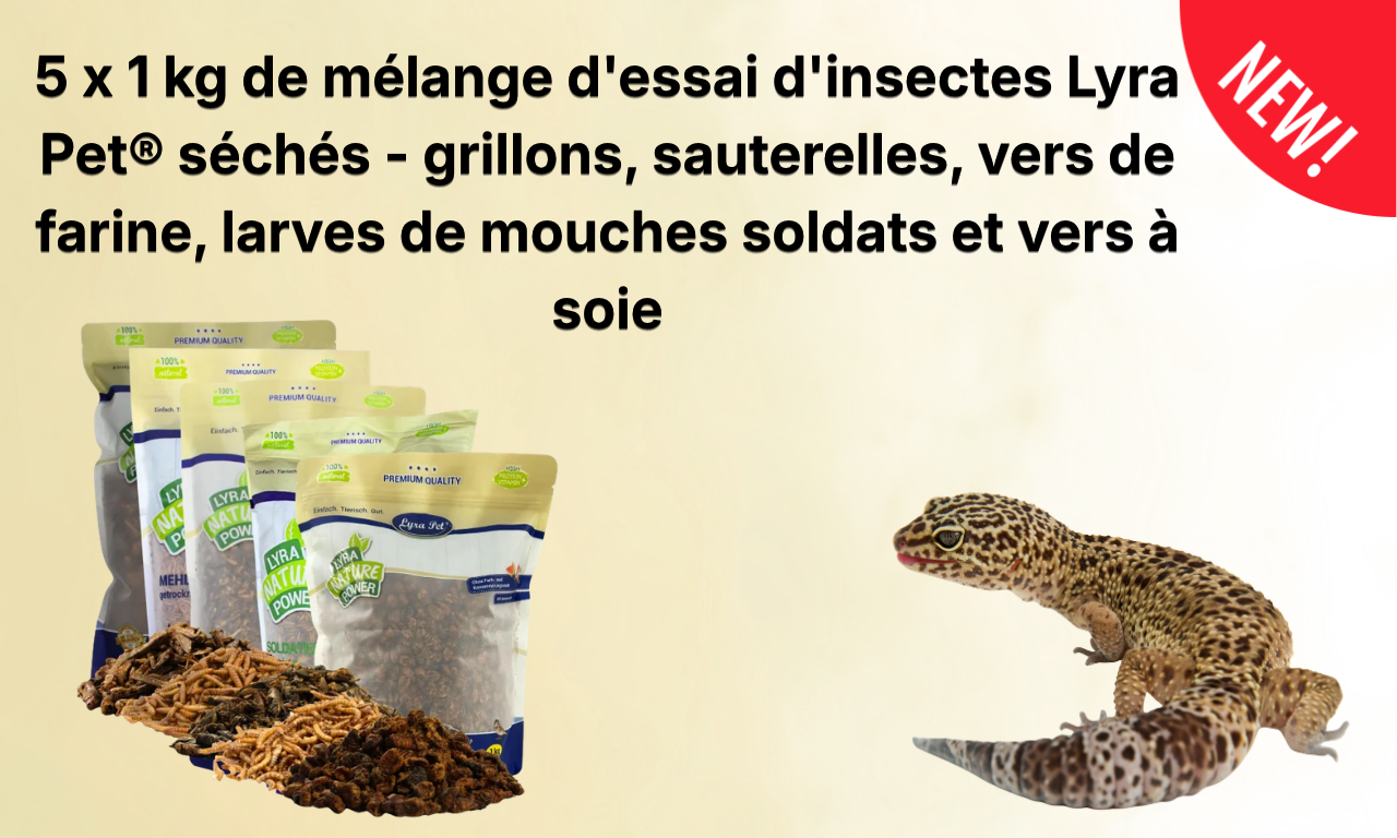 Reptiles
