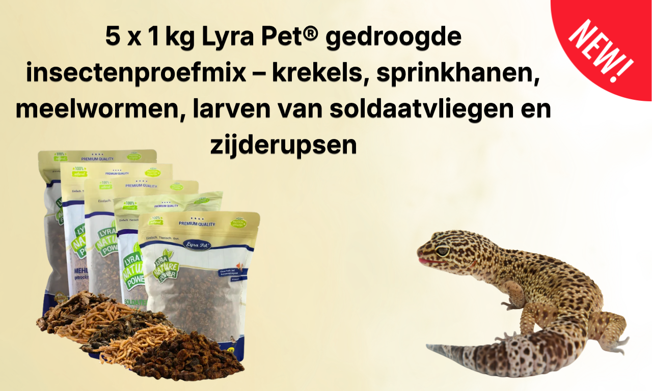 Reptielen