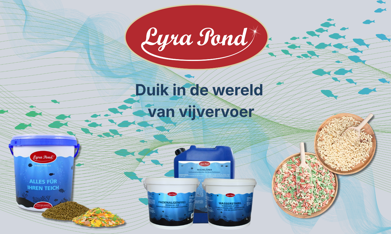 Vijver