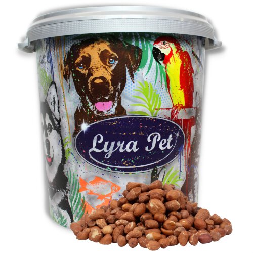10 kg Lyra Pet&reg; Erdnusskerne mit Haut HK S&uuml;damerika in 30 L Tonne