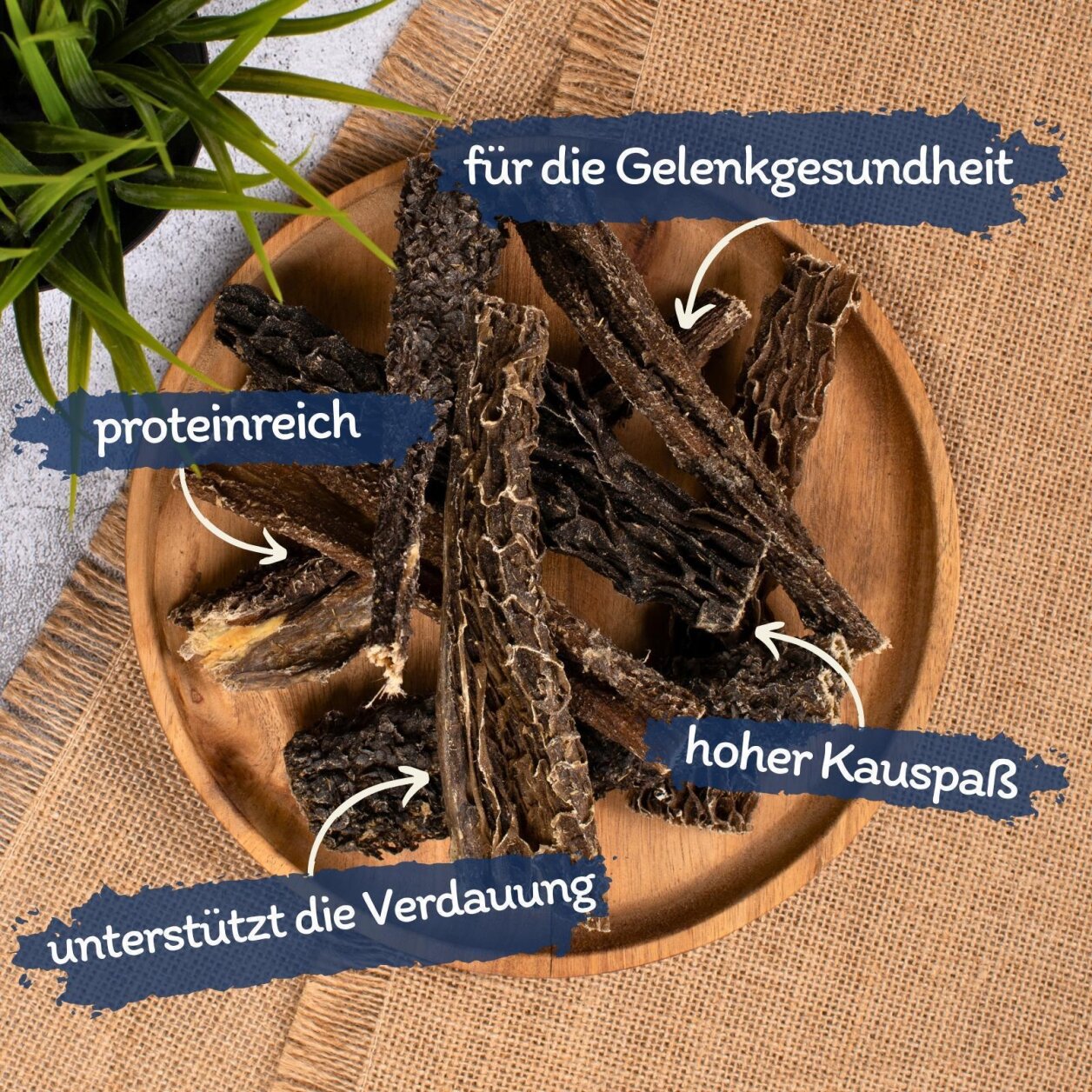10 kg Lyra Pet® Rinderpansen groß