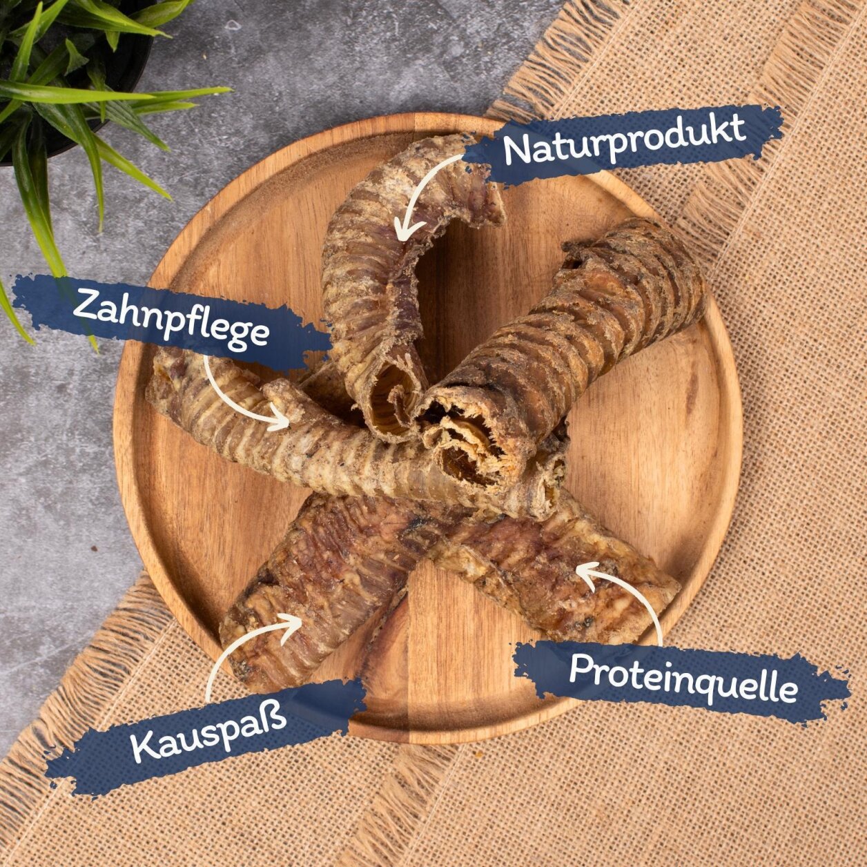 1 kg Lyra Pet® Rinderstrossen mittel