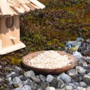 10 - 25 kg Lyra Pet® Erdnusskerne weiß gehackt