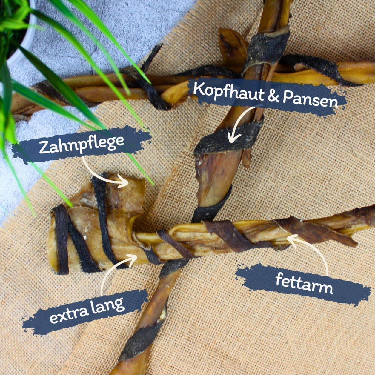 Lyra Pet Kopfhautstangen m. Pansen 70 cm 3,02 kg