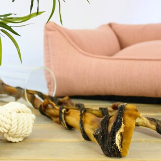 5 pièces de Lyra Pet® XXL : bâtonnets de peau de tête de bœuf avec tripe, environ 70 cm