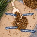 1 - 15 kg Lyra Pet® Larves de mouches soldats