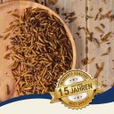 1 - 15 kg Lyra Pet® soldaatvlieglarven