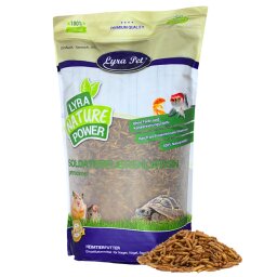 1 kg Lyra Pet® Soldatenfliegenlarven