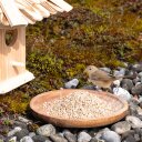 10 - 25 kg Lyra Pet® zonnebloempitten gepeld BRUCH