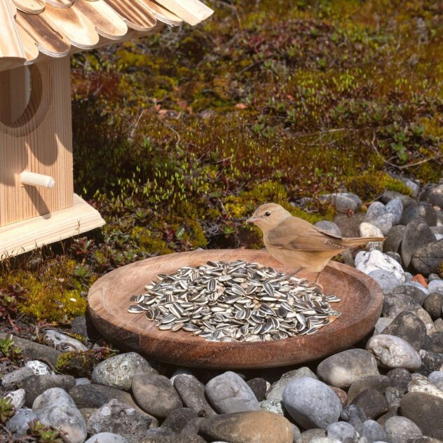 Lyra Pet Gestreifte Sonnenblumenkerne 25 Kg – Wildvogelfutter Für Körnerfresser, Ganzjährig