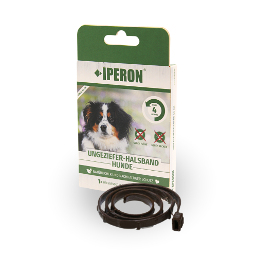 1 Stk. IPERON&reg; Flohhalsband Hund klein 60 cm