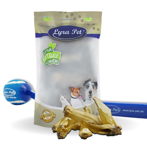 5 x 10 Stk. Lyra Pet&reg; Rehohren + Ballschleuder