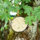 2 x 10 Stk. Lyra Pet® Halbe Kokosnuss gefüllt mit Topping