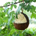 3 x 4 Stk. Lyra Pet® Gefüllte Kokosnuss mit V-Cut