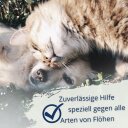 3 x 200 mI IPERON® Flohschutz Lotion