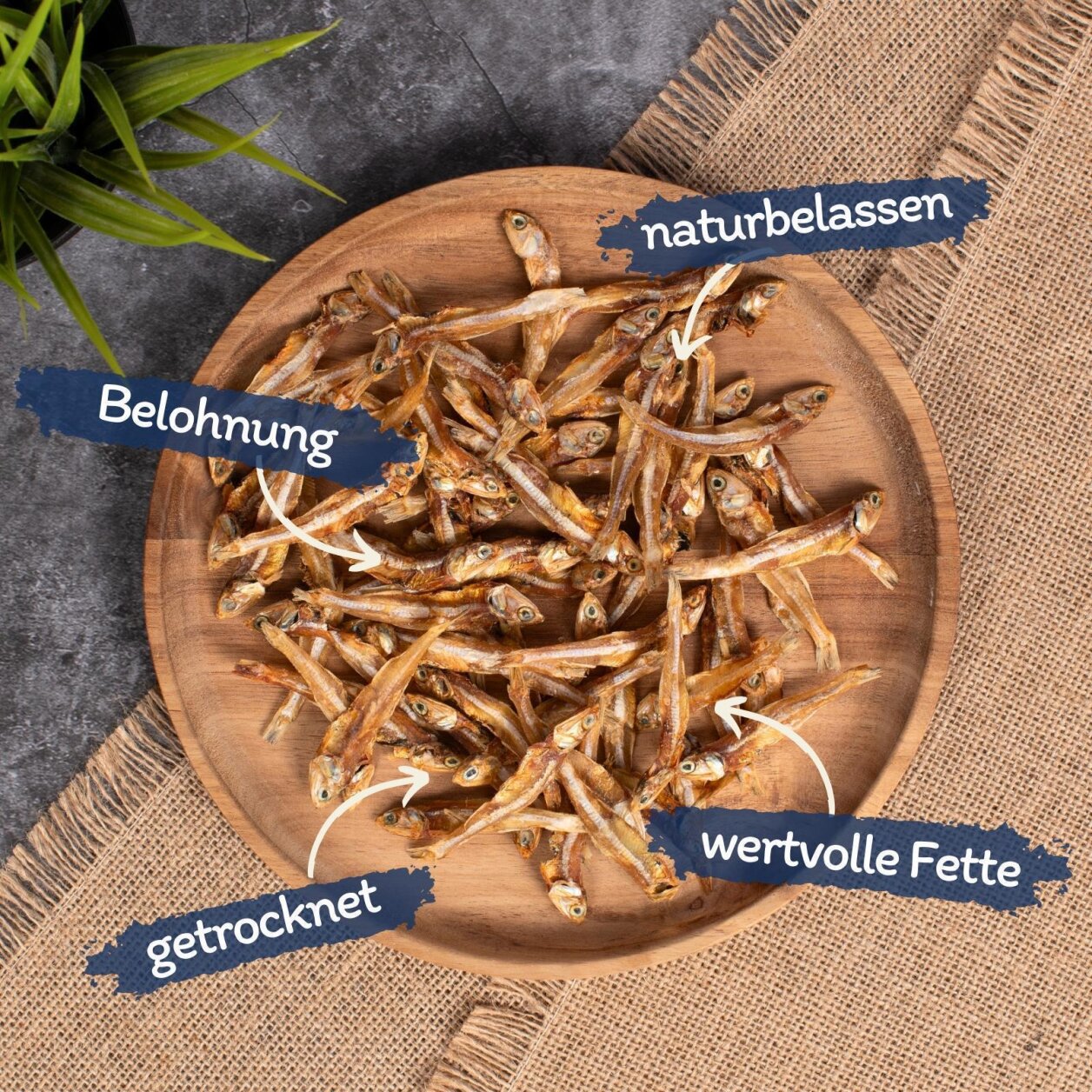 1 kg Lyra Pet® Petits poissons