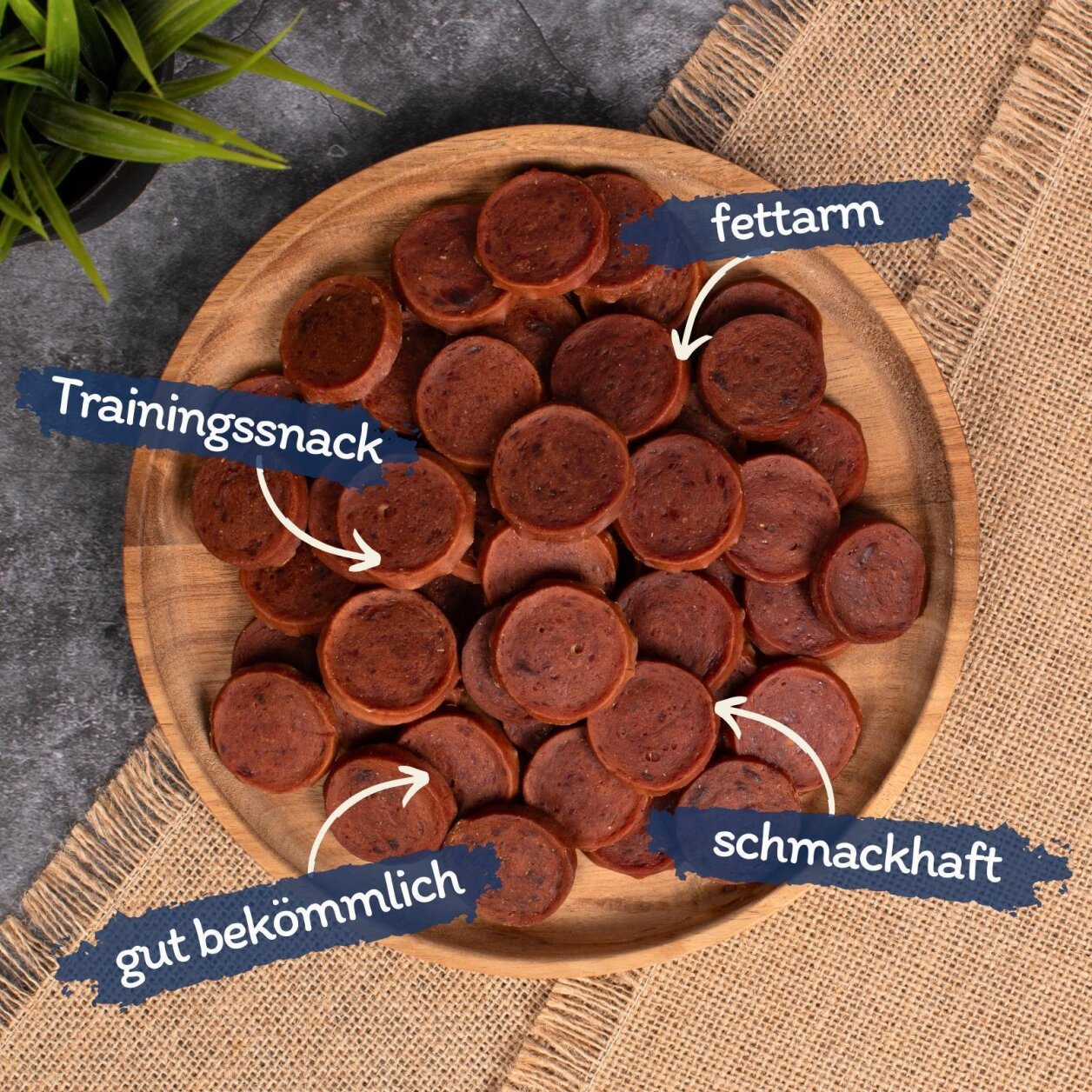 Lyra Pet® Entenchips