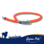 1 Stk. Lyra Pet&reg; LED Halsband 70 cm orange