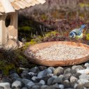 10 kg Lyra Pet® Sonnenblumenkerne geschält