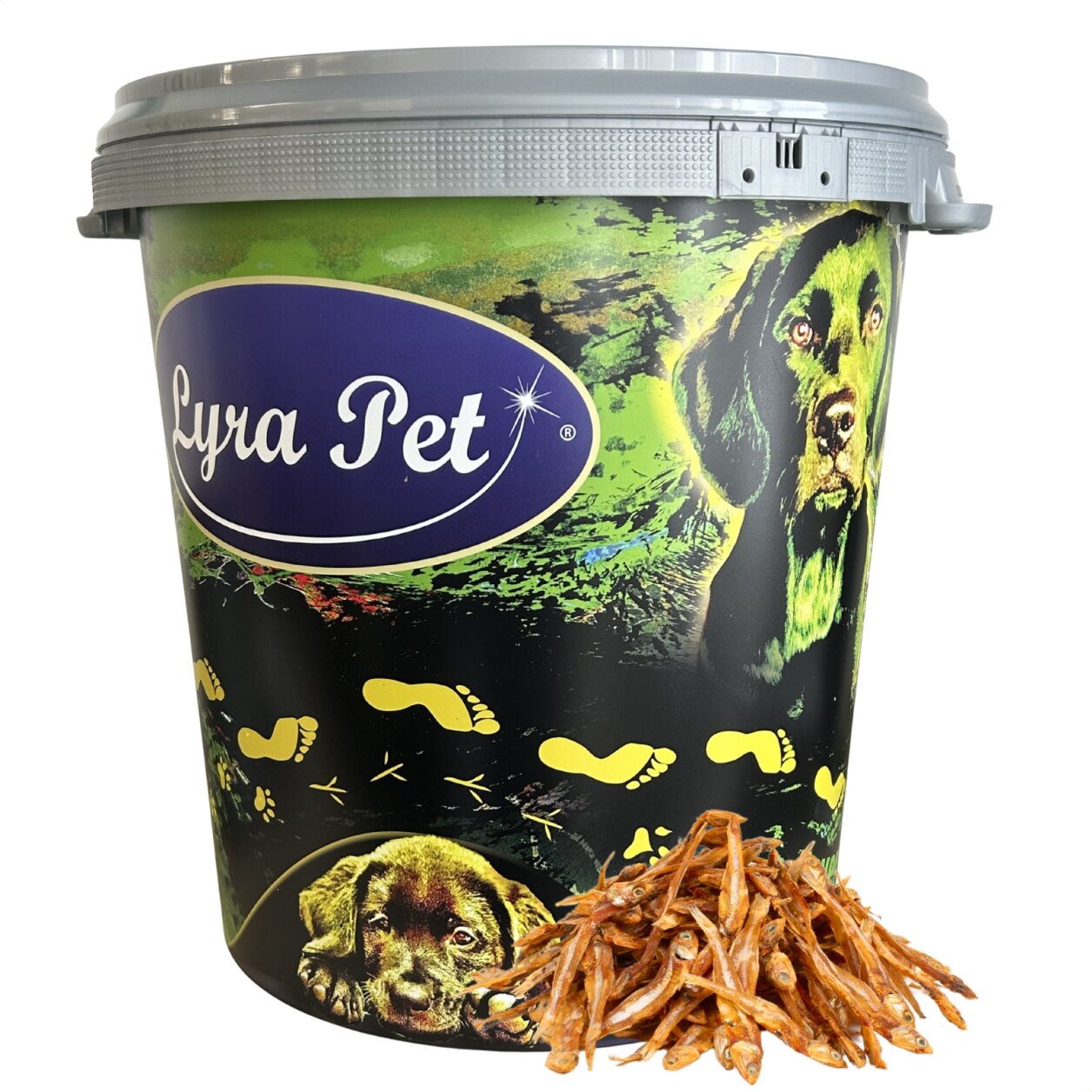 5 kg Lyra Pet® Kleine Fische in 30 L Tonne