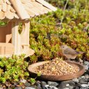 10 kg Lyra Pet® Streufutter schalenfrei in 30 L Tonne