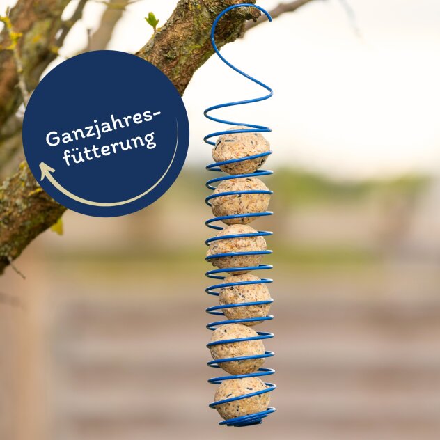 Dehner Natura Premium boulettes de mésange sans Filet, boulettes d'insectes, Nourriture pour Oiseaux Sauvages Riche en protéines et énergie Toute l'année, 100 pièces de 90g (9kg), boîte certifiée FSC