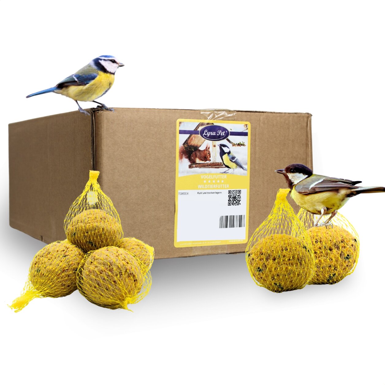 Boules De Graisse Pour Oiseaux Sans Filet - 100 Pièces, 9 Kg, Protéinées - Nourriture Toute L'année